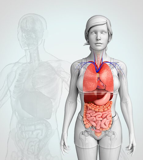 Shaping The Future Of Healthcare